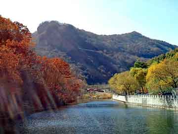 正版澳门天天开彩大全，丰田刹车门